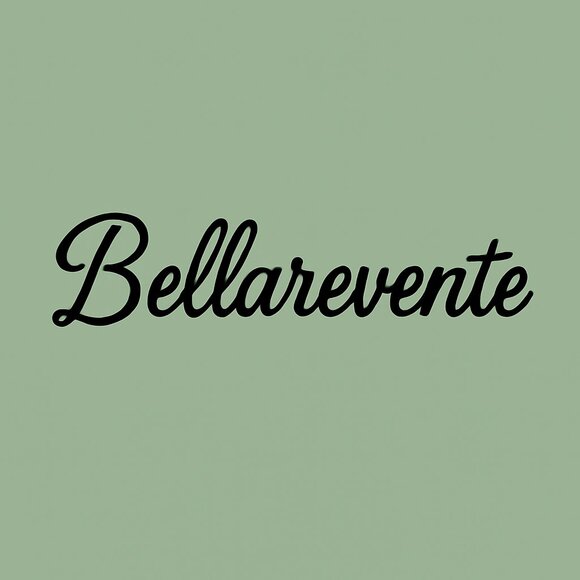 Meet your Posher, Bella Revente - Picture 1 of 1